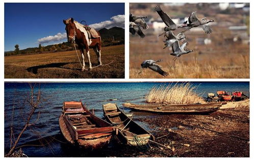 旅游意外伤害险，为您的旅程保驾护航