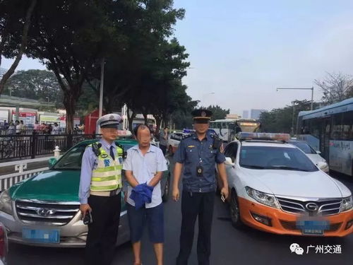 贵阳市交警支队，守护城市交通的忠诚卫士