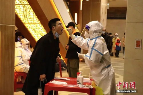 北京疫情新动态，新增62例感染者背后的防控策略与公众应对