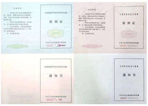 报到证查询全攻略，如何轻松掌握你的就业通行证