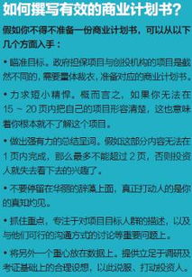 揭开企业神秘面纱，工商档案查询的奥秘与魅力