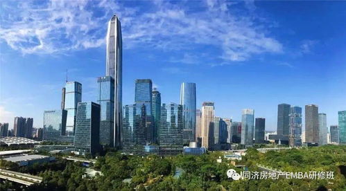 揭秘，某房地产开发公司的兴衰史与行业启示录