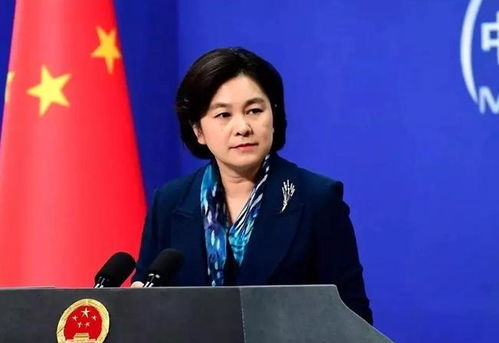 孟晚舟保释条件，法律博弈中的安全网