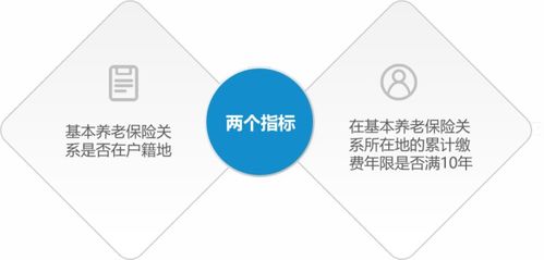 深入解析2014年浙江退休养老金，政策、影响及未来趋势