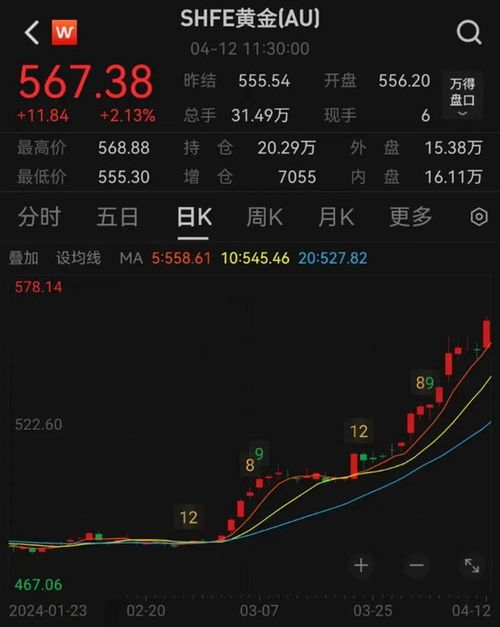 揭秘上市公司分红，投资者的财富增长引擎