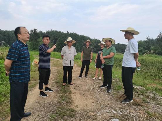 农业合作社贷款，助力乡村振兴的新引擎