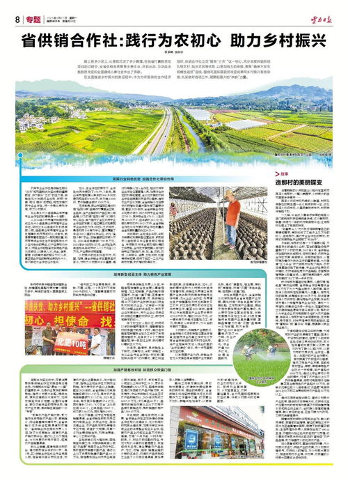 农业合作社贷款，助力乡村振兴的新引擎