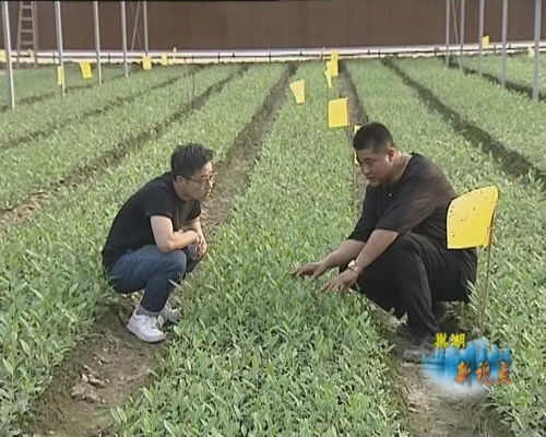 探索专业合作社，农业合作的新天地