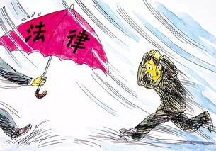 法律援助法，正义的守护者，弱势群体的希望之光