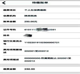 全面指南，如何在线上轻松缴纳合作医疗保险费用