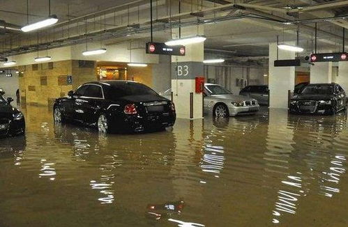 汽车保险种类及价格，保护您的爱车，从了解开始