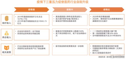 济宁地税局网上申报，数字化转型的便捷之路