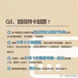 陆河租房市场全解析，信息、策略与实用指南