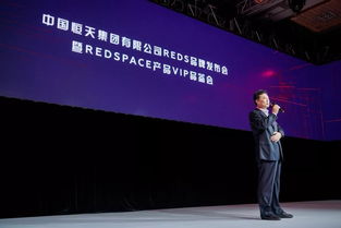 重庆城投集团董事长，引领城市发展，打造现代化都市