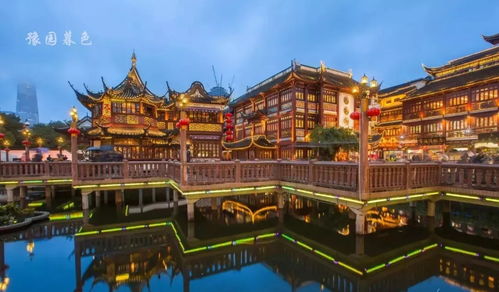 上海衡山路裸拍事件，隐私权与公共道德的边界探讨