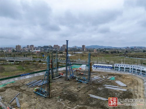 配售型保障房，实现住房公平的桥梁