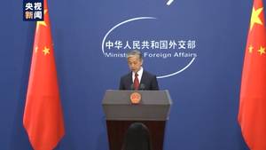 外交豁免权，国际关系的盾牌与双刃剑