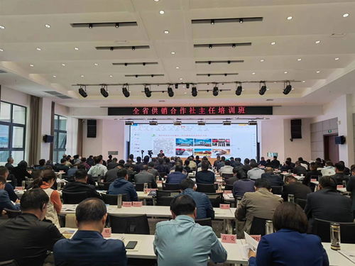 三地合作社，农业合作新篇章，共创乡村振兴新未来