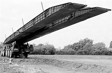 中国伤残军人网，连接过去与未来，关怀与支持的桥梁