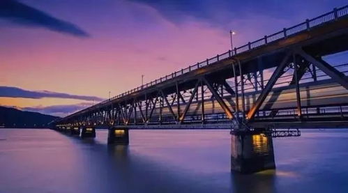 中国伤残军人网，连接过去与未来，关怀与支持的桥梁