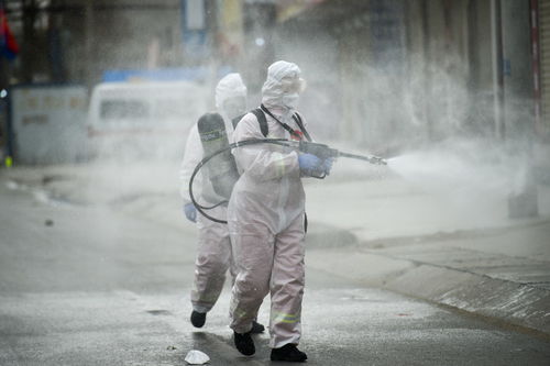 黑龙江疫情最新动态，27日速报，我们如何共同守护健康？