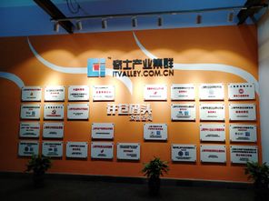 零门槛创业，探索无需加盟费的创业项目