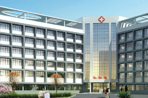 河北省红十字医院，人道光辉下的医疗奇迹