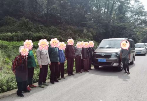 荆门交通违章，安全出行的红线