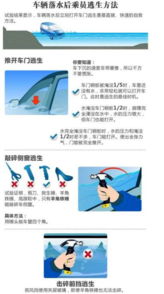 失业潮中的自救指南，心态调整、技能提升与再就业策略