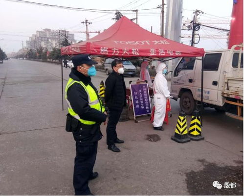 青县疫情最新动态，深入了解与防护指南