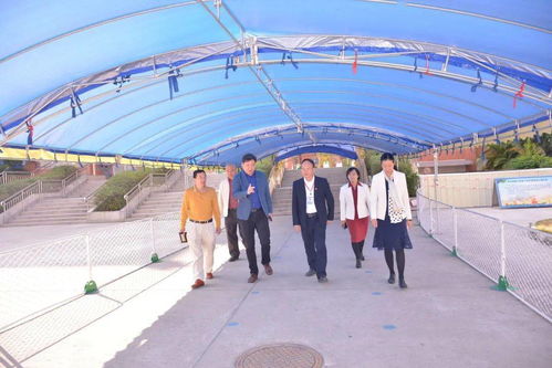 青县疫情最新动态，深入了解与防护指南