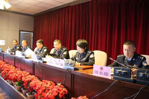 宁波公安交通网，城市交通的守护神