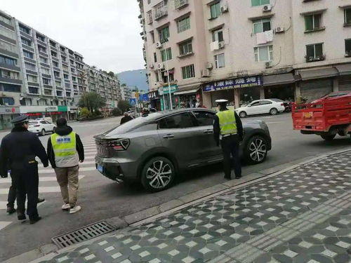 宁波公安交通网，城市交通的守护神