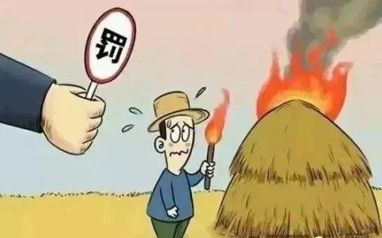 冒名顶替当兵去的严重后果与举报指南：避免法律风险，守护兵役公平