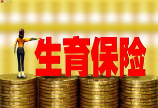 流动人口计划生育证办理全攻略：轻松解决子女入学与异地权益保障难题