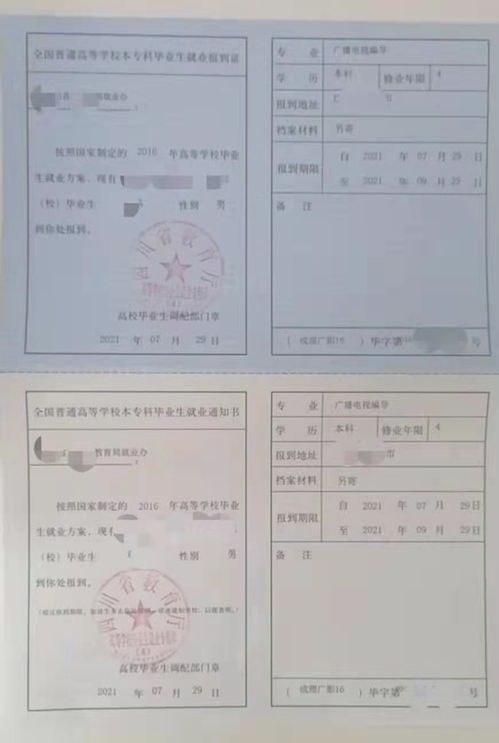 报到证有效期全攻略：避免过期麻烦，轻松办理就业手续