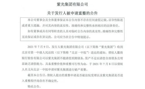 破产申请书怎么写？手把手教你轻松完成债务解脱申请