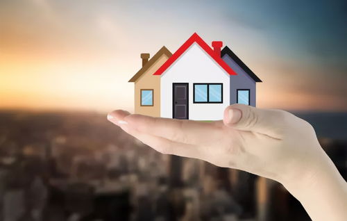 关于小产权房：规避风险、把握机会的完整指南，让您明智购房无忧