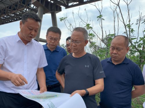 稽查工作规程：从准备到执行的全流程操作指南，让稽查工作有章可循、高效无忧