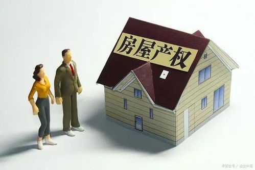 什么是小产权房子？揭秘低价背后的法律风险与购买指南