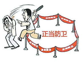 论防卫过当：如何避免防卫行为超出法律界限，保护自己免受法律责任