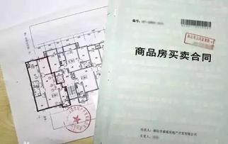 商品房买卖合同示范文本：一文读懂购房合同避坑指南，轻松签约不踩雷