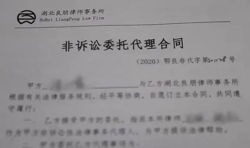 中国裁判文书网查询个人全攻略：免费快速查找案件判决，轻松解决法律纠纷