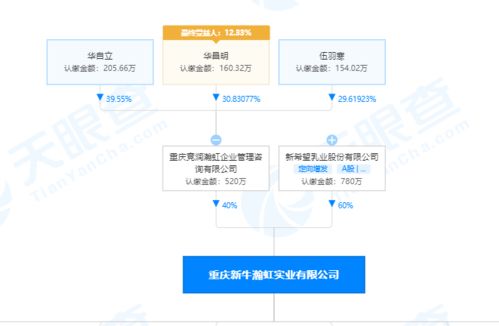 公司名称变更全流程指南：从工商登记到品牌重塑，轻松解决企业更名难题