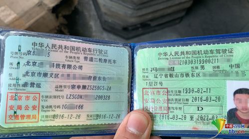 驾驶证年审全攻略：轻松办理避免罚款，合法驾驶更安心