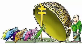 土地闲置费详解：避免高额罚款，合理利用土地资源