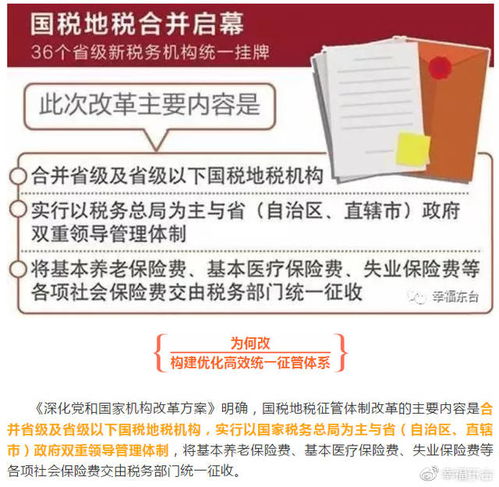 地税征收的税种全解析：轻松掌握地方税收，省心省力办税指南
