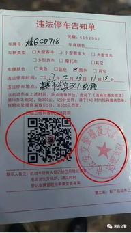 开工许可证办理全攻略：轻松避开罚款陷阱，快速合法开工