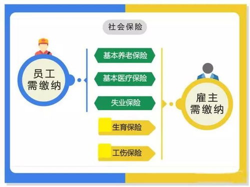 社保转移流程全攻略：轻松搞定跨省转移，避免缴费中断烦恼