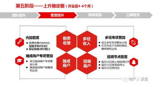 设立办事处全流程指南：从筹备到运营，轻松避坑，高效落地